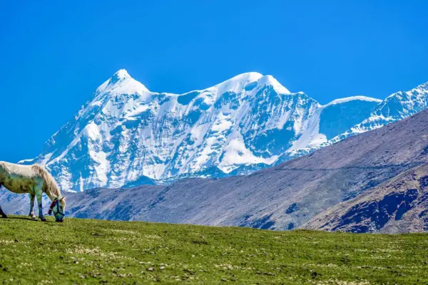 Pangarchulla Trek