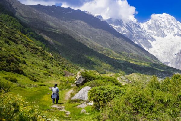 Valley of Flowers Trek