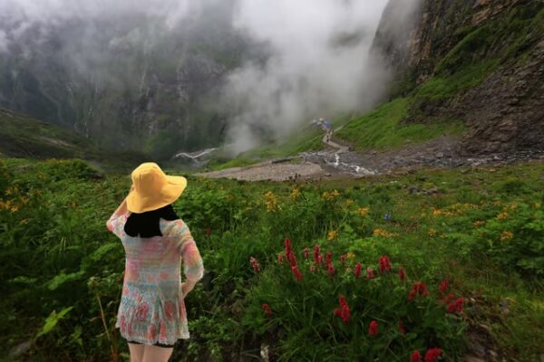 Valley of Flowers Trek